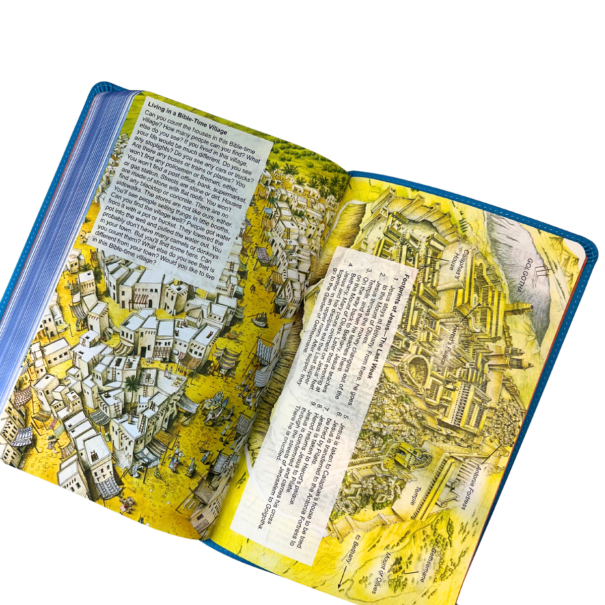 NLT Hands-On Bible, Third Edition