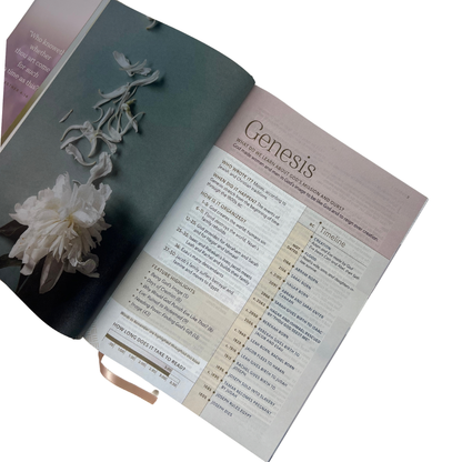 KJV Every Woman’s Bible, Filament Enabled