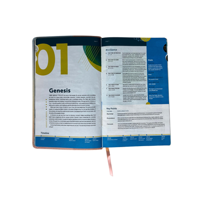 NLT Student Life Application Study Bible, Filament Enabled