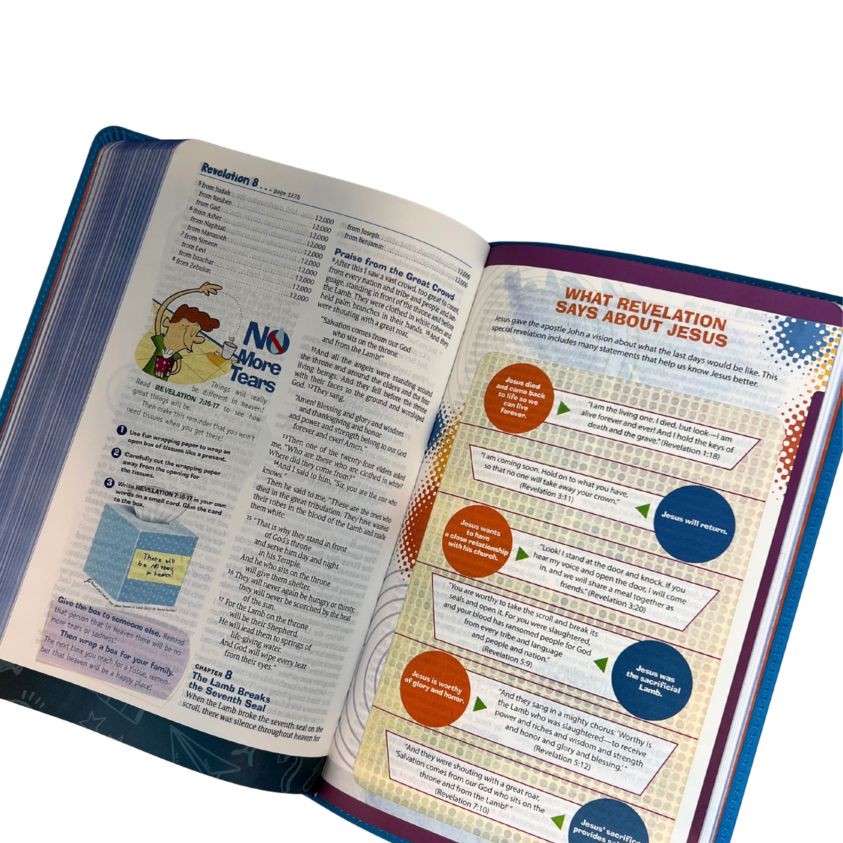NLT Hands-On Bible, Third Edition