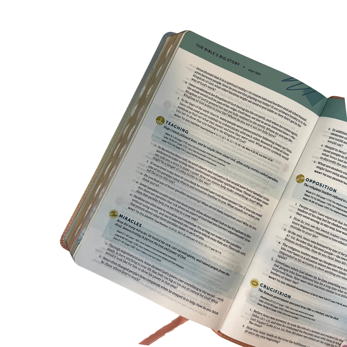 NLT Student Life Application Study Bible, Filament Enabled