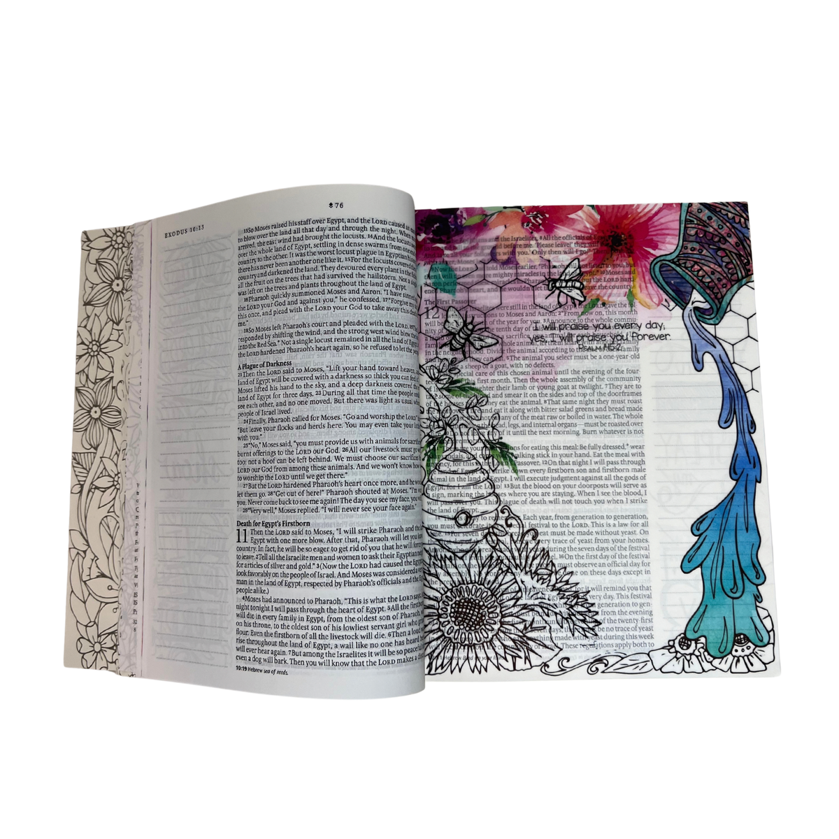 Inspire PRAISE Bible NLT, Softcover