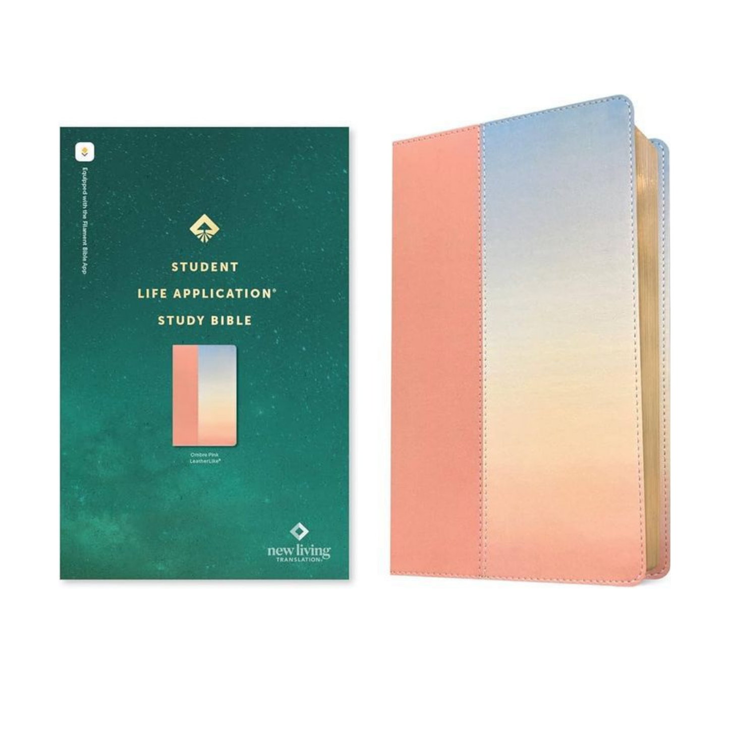 NLT Student Life Application Study Bible, Filament Enabled